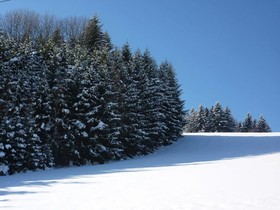 In Der Kohlstatt Gasthof