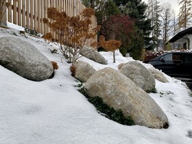 Wolf & Schaf Apartments