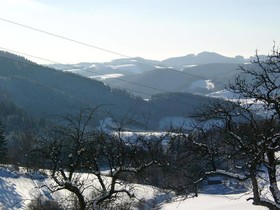Fürst