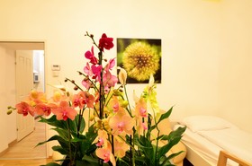 AJO Vienna Apartements & Residences