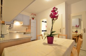 AJO Vienna Apartements & Residences