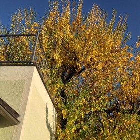 AJO Vienna Apartements & Residences