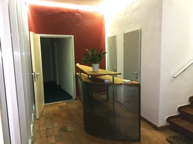 Alina's