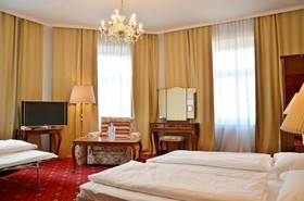 Hotel Viki