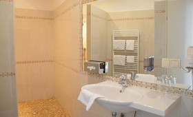 Hotel Viki