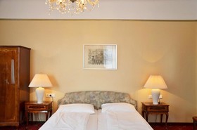 Hotel Viki