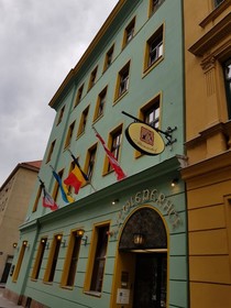 Hotel Viki