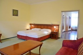 Hotel Viki