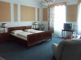 Hotel Viki