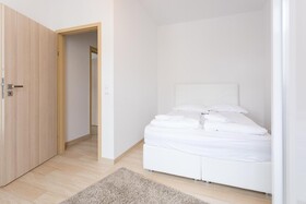 Apartment House in Vienna