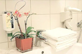 Appartements in der Josefstadt