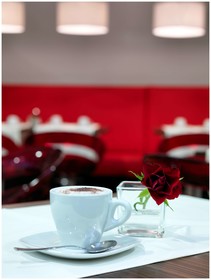 Best Western Plus Amedia Hotel Wien