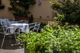 BoutiqueHOTEL Donauwalzer Wien