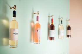 BoutiqueHOTEL Donauwalzer Wien