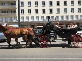 City Center Hoher Markt