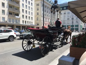 City Center Hoher Markt