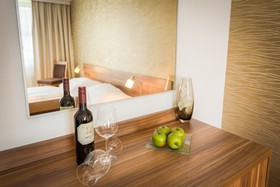 Hotel Enziana Wien