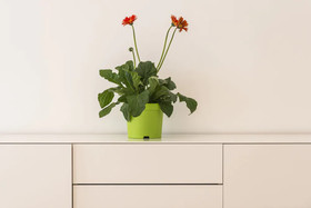 Executive Suites Margareten by Welcome2Vienna