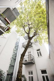 Hahn Apartment