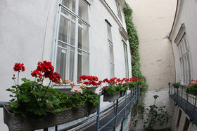 Hotel am Schottenpoint