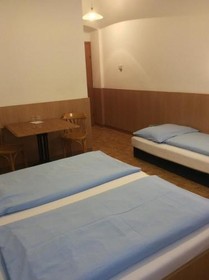 Hotel Pribitzer