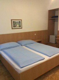 Hotel Pribitzer