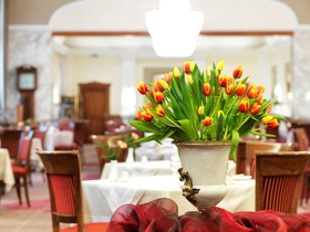 Hotel Stefanie