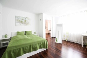 Joe's Apartments - Franz-Josefs Kai 15