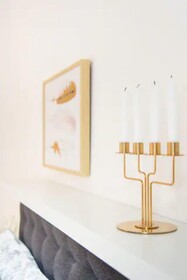 Luxurious and Bright