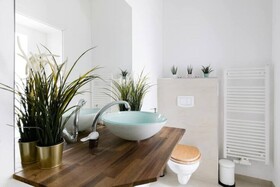 Luxurious and Bright