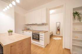 Molino Apartments Vienna