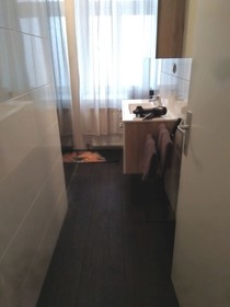 Mts Immobilien