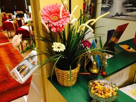 Pension Mariahilf