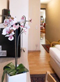 Pension Mariahilf