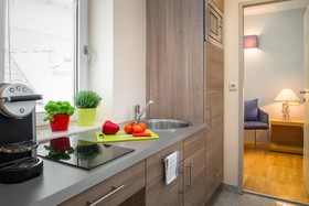 Appartement-Hotel an der Riemergasse