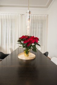 Senator Suite Stephansplatz by Welcome2vienna