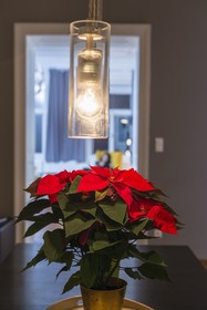 Senator Suite Stephansplatz by Welcome2vienna