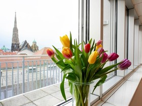 Singerstrasse 21/25
