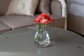 Sofie Apartments
