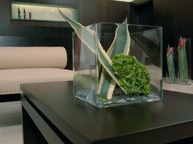 The Levante Laudon
