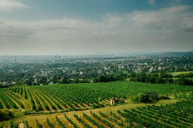 The Ritz-Carlton, Vienna