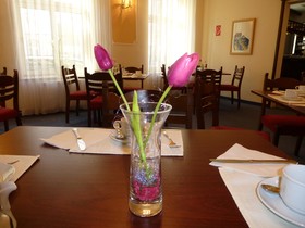 Tulip Inn Vienna Thüringer Hof