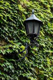 Tulip Inn Vienna Thüringer Hof