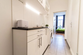 Vienna Star Apartments Davidgasse
