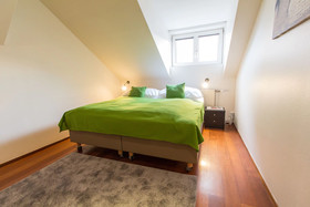 Vienna Star Apartments Davidgasse
