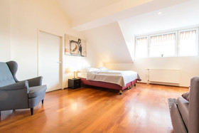 Vienna Star Apartments Davidgasse
