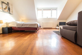 Vienna Star Apartments Davidgasse