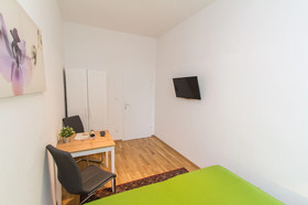 Vienna Star Apartments Davidgasse