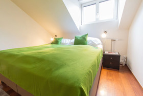 Vienna Star Apartments Davidgasse