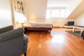 Vienna Star Apartments Davidgasse